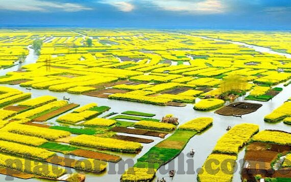 91麻豆免费看-揭秘网络灰色地带的隐秘地带,探寻91麻豆的真相